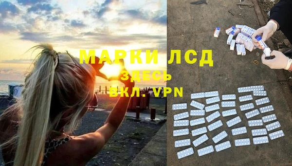стаф Алзамай