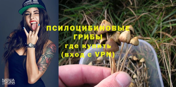 МДПВ Алексин