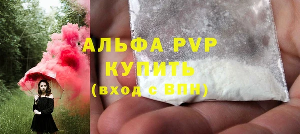 PSILOCYBIN Ладушкин