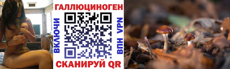 Галлюциногенные грибы ЛСД  купить наркоту  Челябинск 