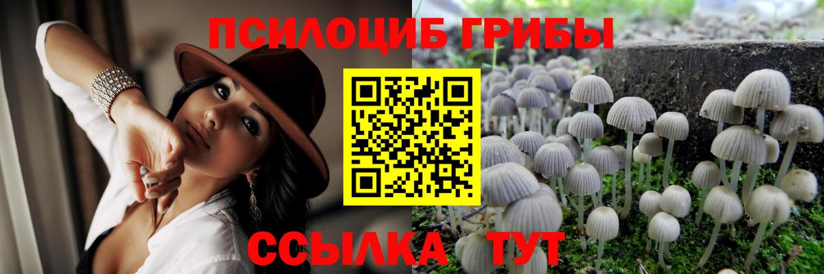 Псилоцибиновые грибы мухоморы Челябинск